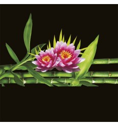 BLATO 5 KG BAMBUS in LOTUSOV CVET