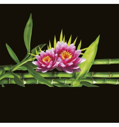 BLATO 5 KG BAMBUS in LOTUSOV CVET