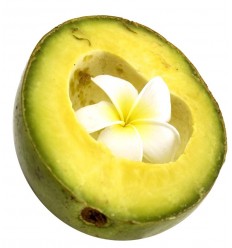 Piling za telo VANILIJA in AVOKADO (5 kg)