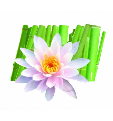 Naravno masažno olje BAMBUS in LOTUSOV CVET (5L)