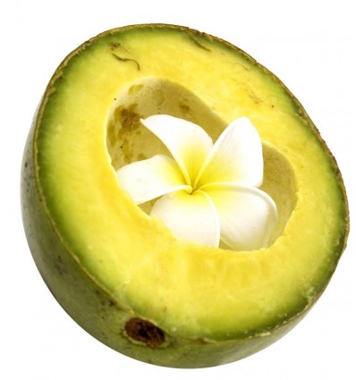 Naravno masažno olje VANILIJA in AVOKADO (5L)