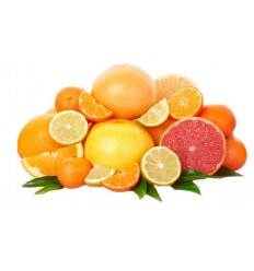 Naravno masažno olje CITRUSI (5L)