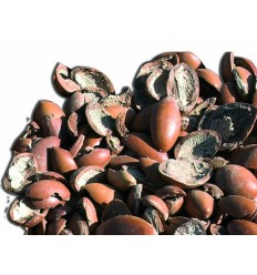 Naravno masažno olje HAMMAM z arganovim oljem (5L)