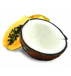 Masažna krema za telo KOKOS in PAPAJA (2500 ml)